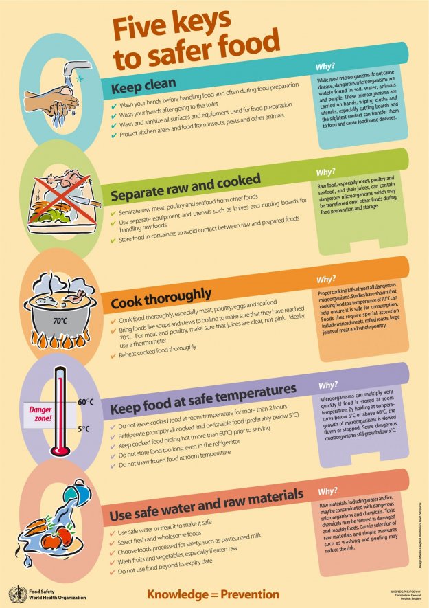 Five-Keys-to-Safer-Food